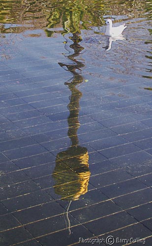 Sydney-Tower-Reflected-03.jpg