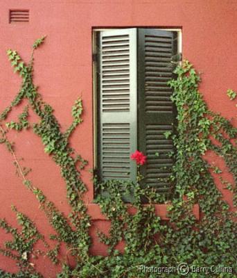 Green Shutters.jpg