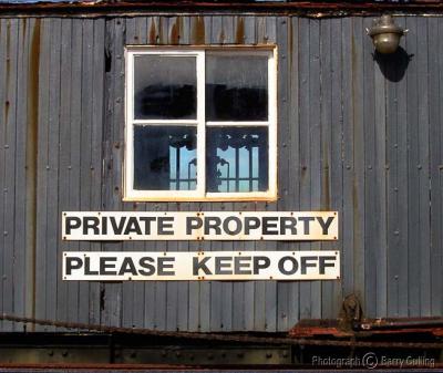 hikatea window.jpg