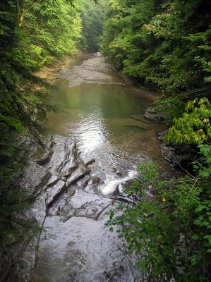 Brook Pool