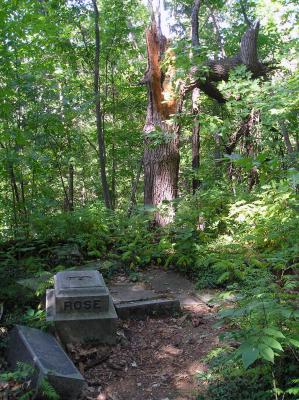 v3/69/523069/3/48406504.CemetaryintheWoods.jpg