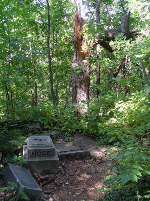 Cemetery in the Woods