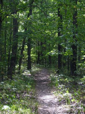 v3/69/523069/3/48406515.PathLessTraveled.jpg