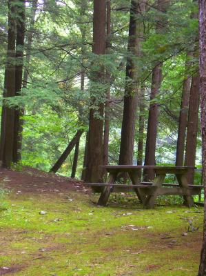 Picnic Table