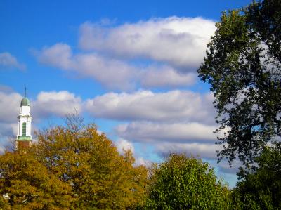 Autumn Presby Sky
