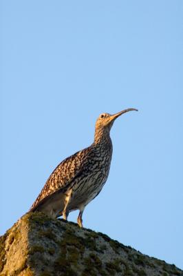At the lookout