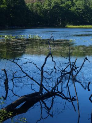 v3/69/564969/3/45046163.KendallLake3.jpg