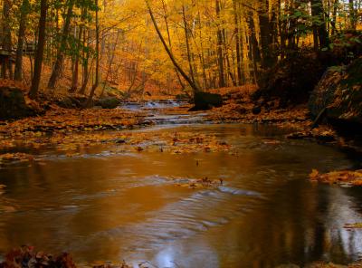 Fall colors at Bedford Reservation