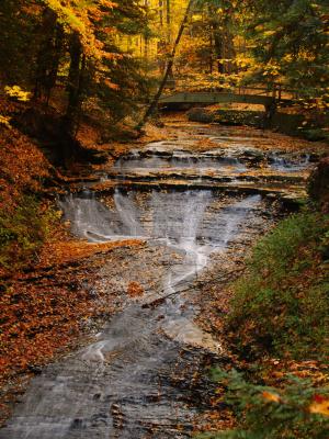 Fall Colors stream at Bedford Reservation
