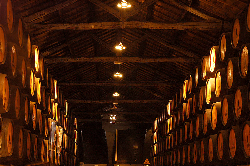 Caves Vinho do Porto-02