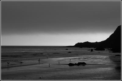 v3/69/576069/3/48211747.PraiaArrifana01.jpg