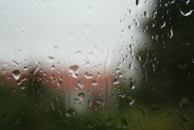 House and bushes through a rainy window