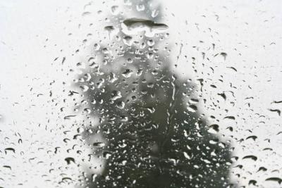 Tree through a rainy window