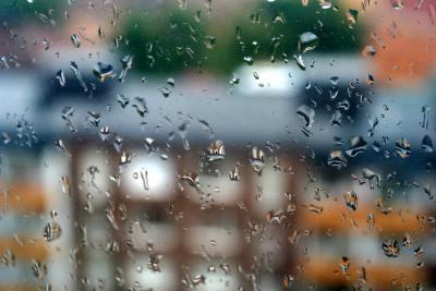 Through my window