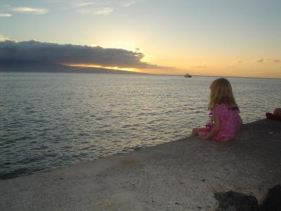 v3/70/230570/3/51521532.DSC00415.jpg