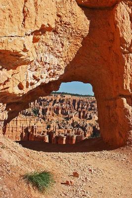 Bryce4.jpg