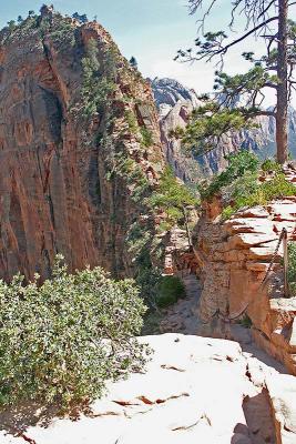 Hike To Angels Landing.jpg