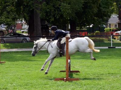 IMG_0939pss.jpg