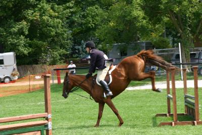IMG_1013pss.jpg