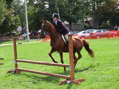 IMG_1016pss.jpg