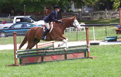 IMG_1019pss.jpg