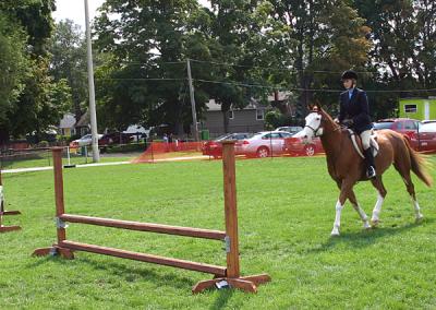 IMG_1022pss.jpg