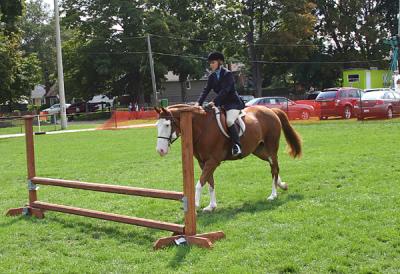 IMG_1023pss.jpg