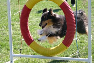 IMG_1287pssdd.jpg