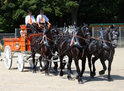 IMG_1320pss.jpg