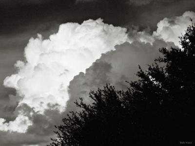 CloudsPlatinum