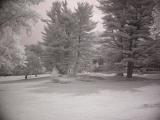 Harts Brook Park IR