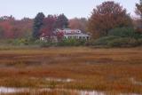 Autumn Marsh 