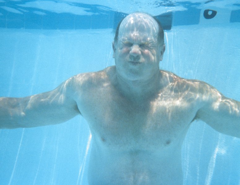 big hairy daddie bears swimming underwater in pool