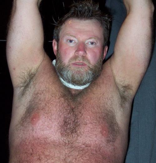 hairy chest silverdaddy bear.jpg