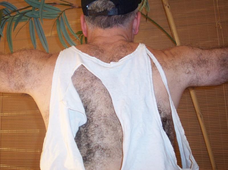 Older Silverfox Daddy Bear Hairy Ape Man in Ripped Torn Shirt and pro wrestling mask