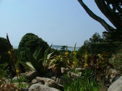 Abbey Garden - view from the top terrace