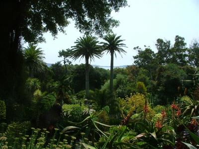 Abbey Garden - view from the top terrace