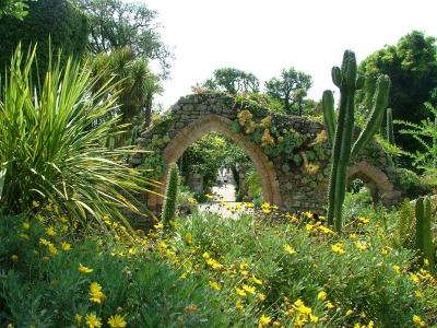 Abbey Garden - ruins of 12th century Benedictine Priory