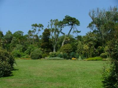 Abbey Garden - East Orchard