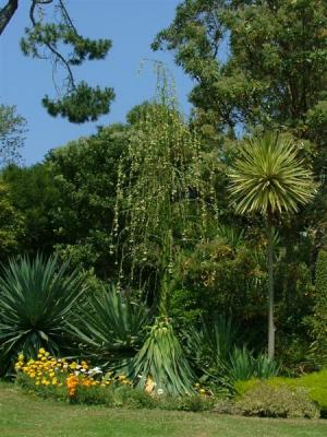 Abbey Garden - East Orchard