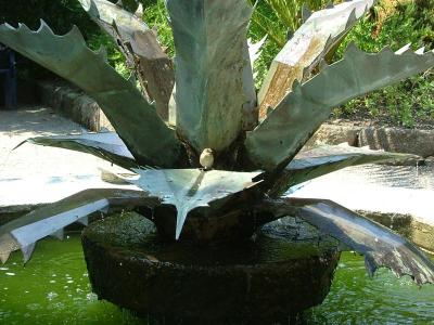 Abbey Garden - Agave fountain