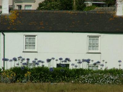 Marazion 2005