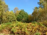 Padley walk 29 Oct 05