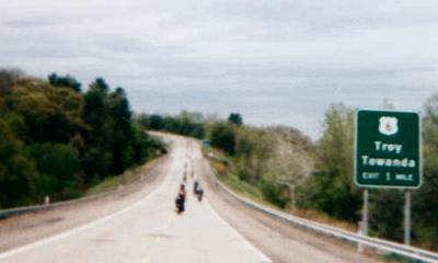 wildpig004.jpg