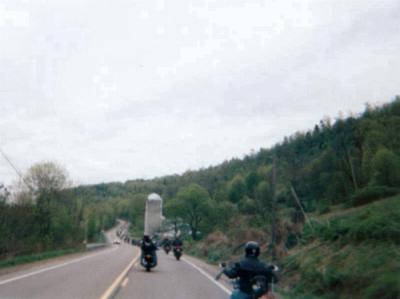 wildpig005.jpg