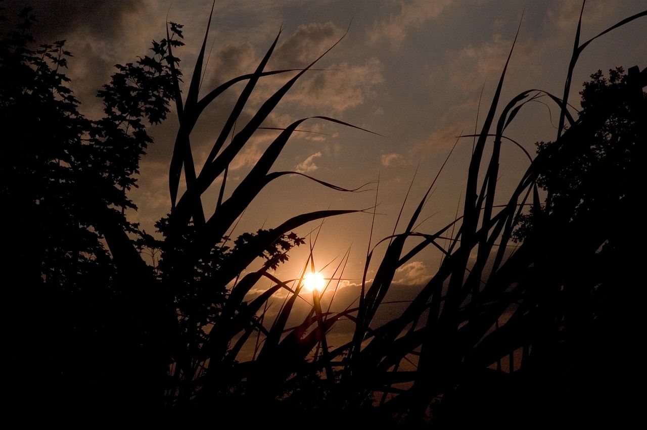 Sunset Wroclaw
