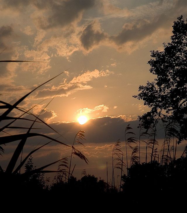 sunset , mental view