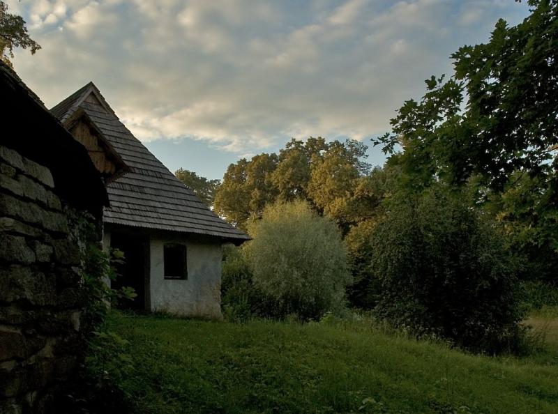 after rain  landscape