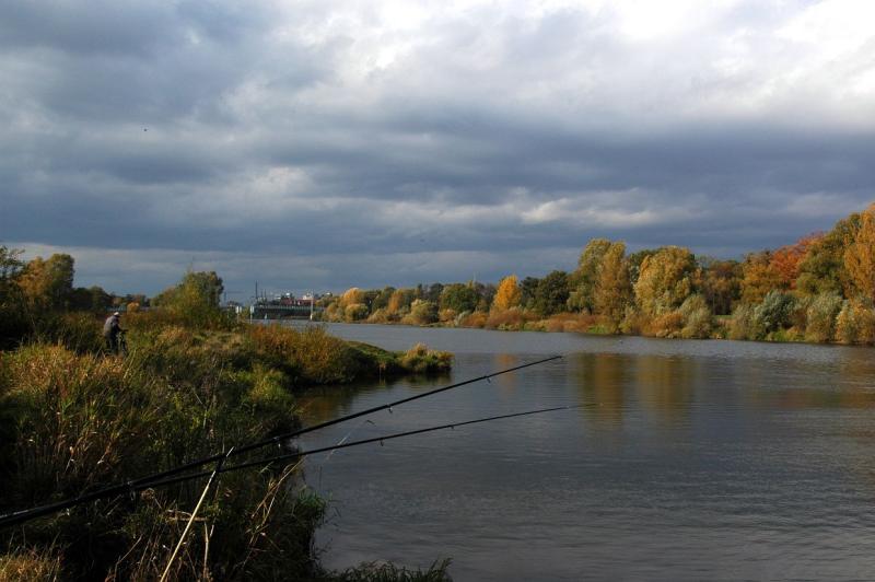 ODRA river