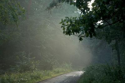 Wolka Horyniecka road